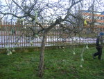 DSC05218.JPG
